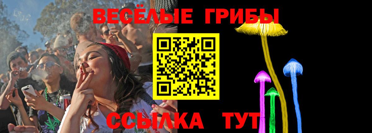 Псилоцибиновые грибы Psilocybine cubensis Обь